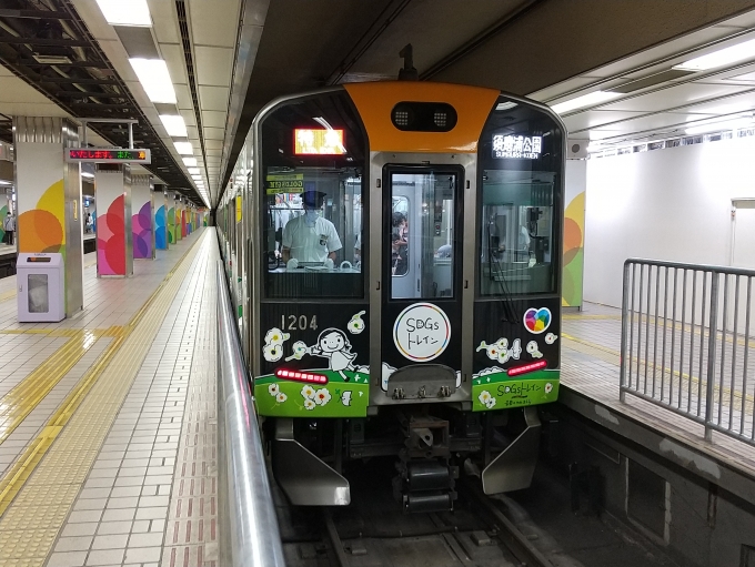 鉄道乗車記録の写真:乗車した列車(外観)(3)        「阪神電車のSDGsトレインです。」