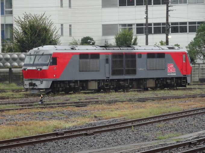 鉄道乗車記録の写真:列車・車両の様子(未乗車)(6)        「こちらも初めて見たDF200です。」