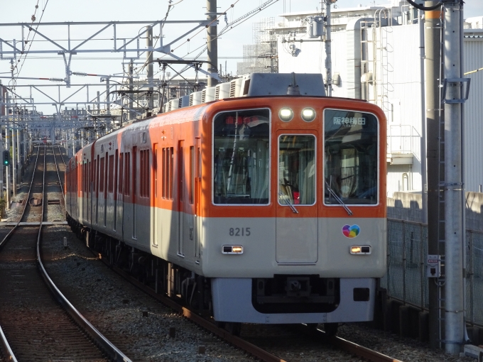 鉄道乗車記録の写真:列車・車両の様子(未乗車)(2)        「阪神電車の直通特急です。」