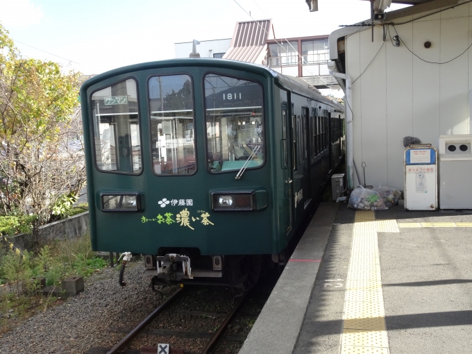 鉄道乗車記録の写真:列車・車両の様子(未乗車)(3)        「伊藤園の広告ラッピング編成です。」