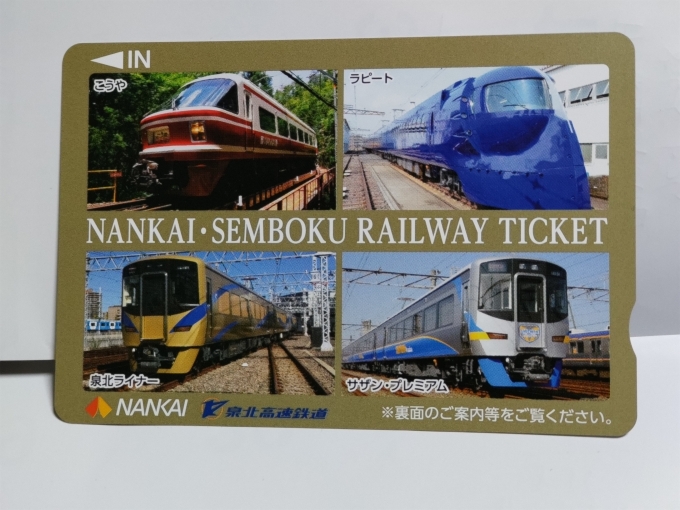 鉄道乗車記録の写真:きっぷ(2)     「南海電車の新年フリーチケットです。」