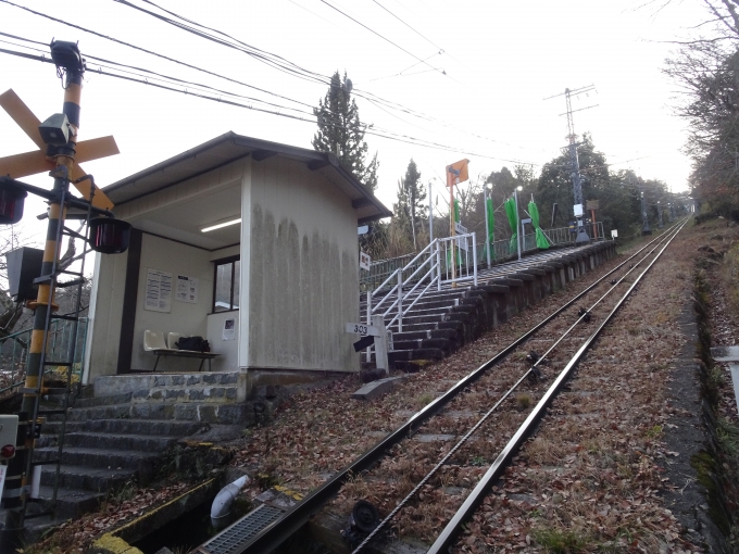 鉄道乗車記録の写真:駅舎・駅施設、様子(8)        「梅屋敷駅の全景です。」