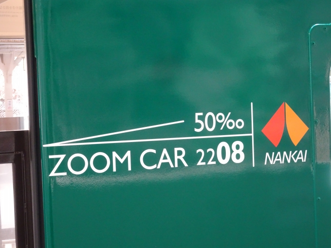 鉄道乗車記録の写真:旅の思い出(8)        「2208の50パーミルのロゴです。」