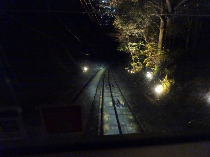 鉄道乗車記録の写真:車窓・風景(11)        「出発後に虹の駅のすぐ下でライトアップしています。(このとき、車内の照明は消灯しています。)」