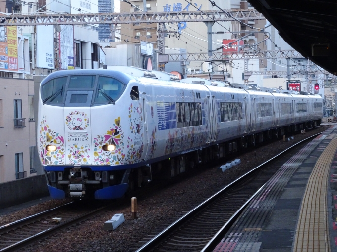 鉄道乗車記録の写真:列車・車両の様子(未乗車)(3)        「野田駅をゆっくり通過する特急｢はるか｣です。」