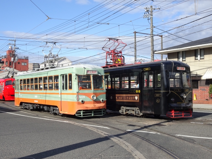 鉄道乗車記録の写真:列車・車両の様子(未乗車)(5)        「岡山に来たもう１つの理由は、この並びを撮りたかったんです❗️(前回は日光の電車が休みだったので。)」