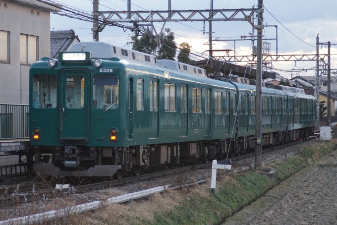 鉄道乗車記録の写真:列車・車両の様子(未乗車)(3)        「緑色のレトロ編成を撮って、このあとの電車で帰りました。」