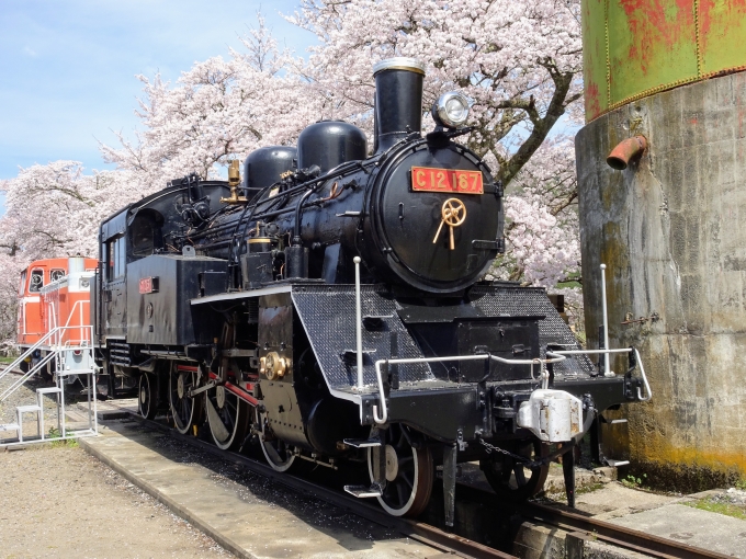 鉄道乗車記録の写真:列車・車両の様子(未乗車)(12)        「若桜駅構内で保存されている、C12です。」