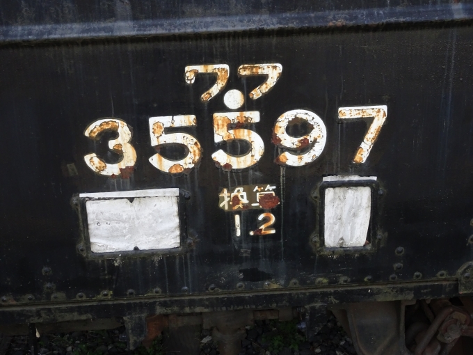 鉄道乗車記録の写真:旅の思い出(9)        「ワフ35597の車番標記です。」
