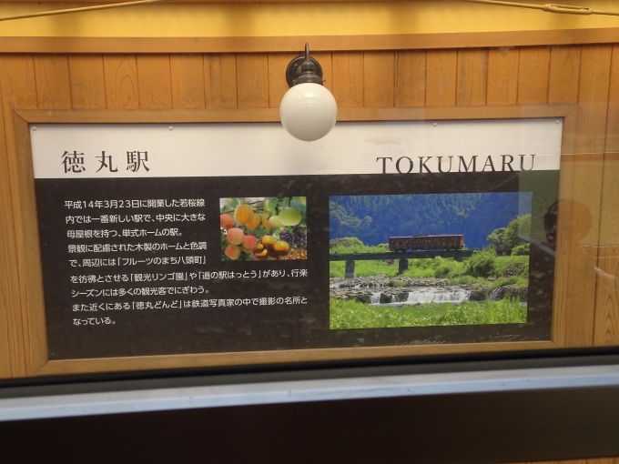 鉄道乗車記録の写真:旅の思い出(2)        「徳丸駅の説明文です。」