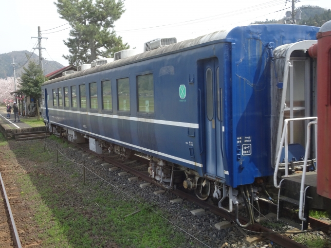 鉄道乗車記録の写真:列車・車両の様子(未乗車)(7)        「隼駅に展示している、元JR四国の｢オロ12 6｣です。(今はどうかわかりませんが簡易宿泊所らしいです。)」