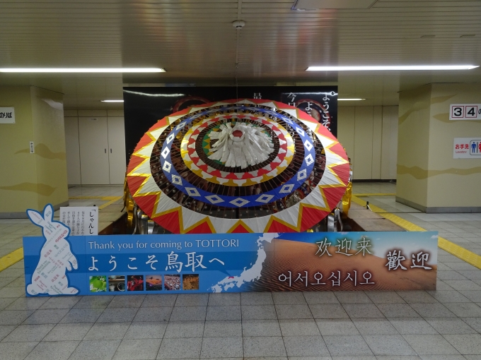 鉄道乗車記録の写真:旅の思い出(2)        「鳥取駅に着いたら｢しゃんしゃん笠｣がお出迎えです。」