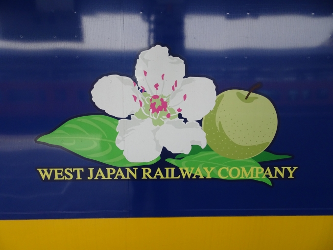 鉄道乗車記録の写真:列車・車両の様子(未乗車)(12)        「｢スーパーいなば｣の連結部のイラストです。鳥取県の花の｢梨の花｣と｢二十世紀梨｣です。」