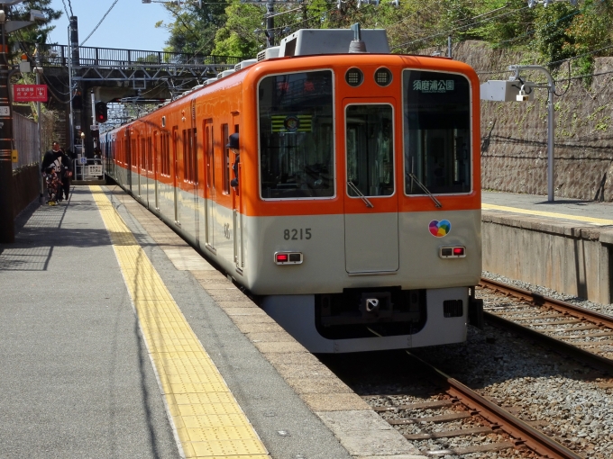 鉄道乗車記録の写真:乗車した列車(外観)(4)        「乗車した阪神特急の8215Fです。」