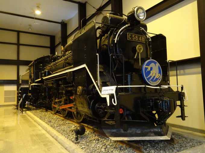 鉄道乗車記録の写真:列車・車両の様子(未乗車)(3)        「トロッコ嵯峨駅で保存されている｢C58 48｣です。」