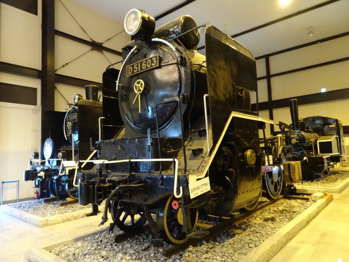 鉄道乗車記録の写真:列車・車両の様子(未乗車)(6)        「トロッコ嵯峨駅で保存されている｢D51 603｣です。1976年の追分機関区火災の焼け残った煙室部分を保存展示しているとのことです。」