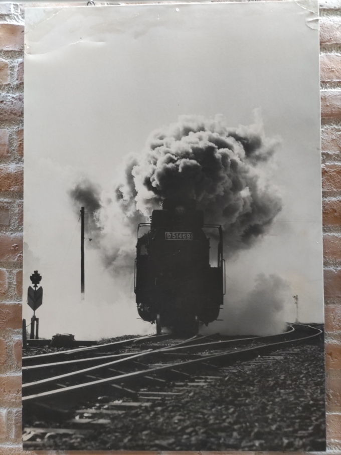 鉄道乗車記録の写真:旅の思い出(6)        「交通遊園事務所内の写真パネルから、保存している｢D51 469｣の現役時代の写真です。」