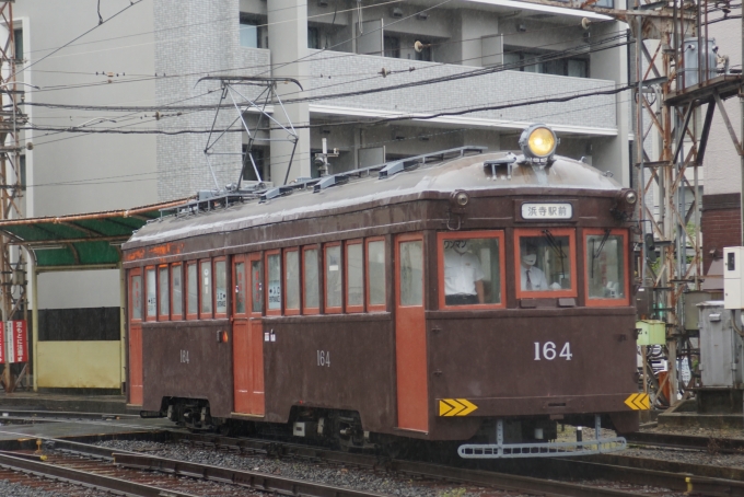 鉄道乗車記録の写真:列車・車両の様子(未乗車)(8)        「天王寺駅前から帰って来ました。昨年の阪堺電車まつりでは、検車庫に入っていたのでまともな写真が撮れませんでしたが、これが来たときは非常にありがたかったです。」