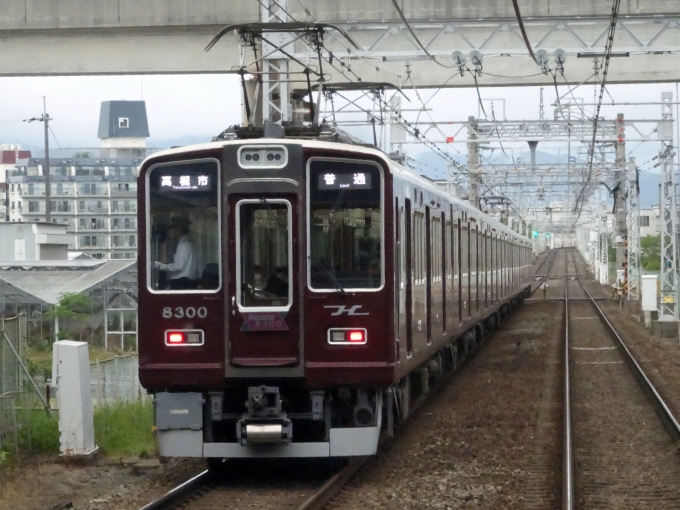 鉄道乗車記録の写真:列車・車両の様子(未乗車)(3)        「乗車している車内から撮った｢Memorial8300｣です。」