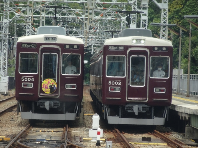 鉄道乗車記録の写真:列車・車両の様子(未乗車)(8)        「仁川での5000系の並びです。」