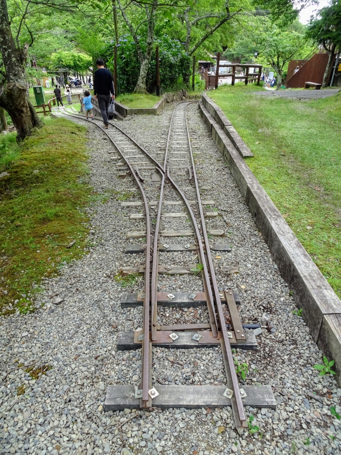 鉄道乗車記録の写真:旅の思い出(15)        「ベガ駅周辺だけ、線路が残っています。」
