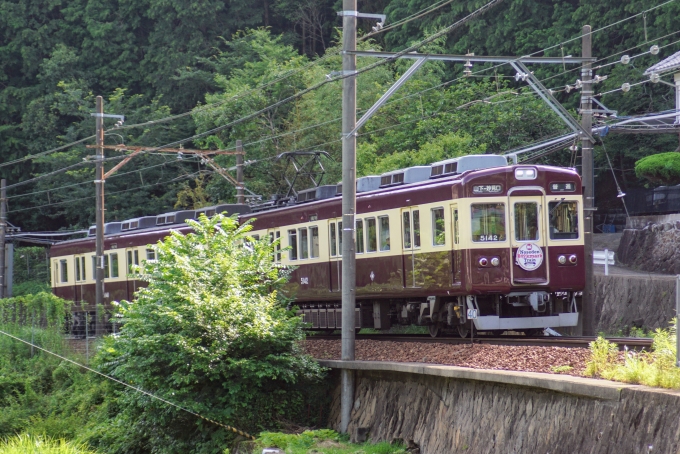 鉄道乗車記録の写真:乗車した列車(外観)(7)        「1500系がデビューしてしばらくは、このような雰囲気だったかと思います。」