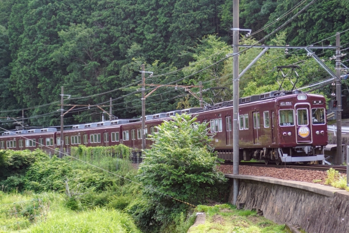 鉄道乗車記録の写真:列車・車両の様子(未乗車)(8)        「後ろが少し切れてしまいましたが、なんとか5136Fの編成写真が撮れました。」