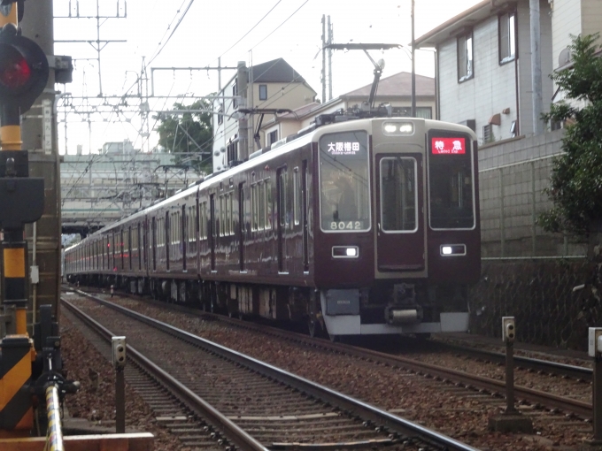 鉄道乗車記録の写真:列車・車両の様子(未乗車)(7)        「8042F(2R)+7001F(6R)の特急大阪梅田行きです。」