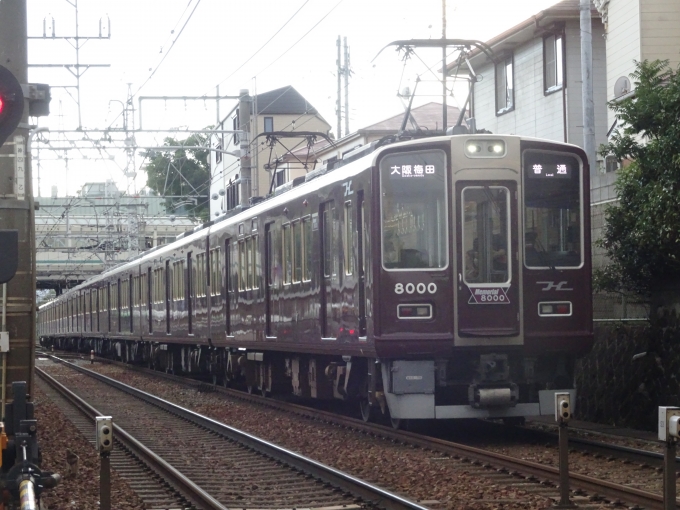 鉄道乗車記録の写真:列車・車両の様子(未乗車)(8)        「Memorial8000の大阪梅田側です。」