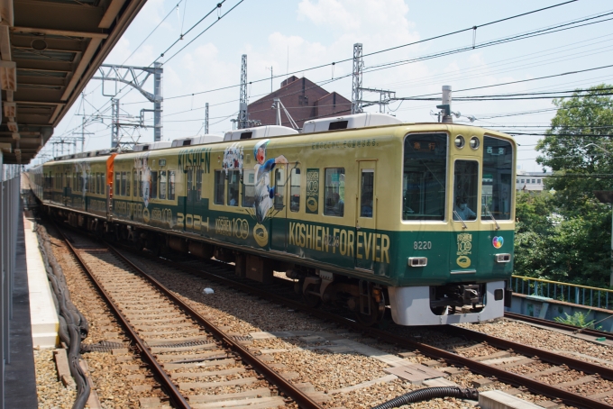 鉄道乗車記録の写真:列車・車両の様子(未乗車)(3)        「この日は、梅田⇔西宮間の急行運用だったので、楽に撮れました。」