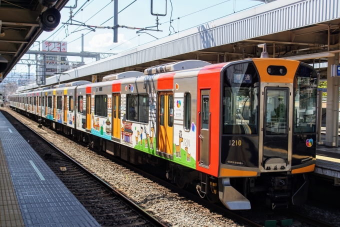 鉄道乗車記録の写真:列車・車両の様子(未乗車)(14)        「阪神なんば線開業10周年記念ラッピング編成の近鉄奈良側です。」