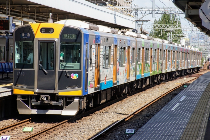 鉄道乗車記録の写真:列車・車両の様子(未乗車)(15)        「阪神なんば線開業10周年記念ラッピング編成の神戸三宮側です。」