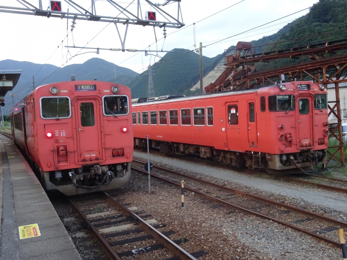 鉄道乗車記録の写真:乗車した列車(外観)(4)        「キハ41とキハ40の並びです。」