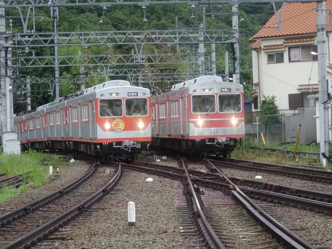 鉄道乗車記録の写真:列車・車両の様子(未乗車)(3)        「ウルトラマン電車こと、神鉄3000系新旧塗装の並びです。」