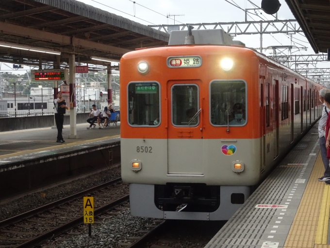 鉄道乗車記録の写真:乗車した列車(外観)(1)          「阪神電車8000系のネタ編成です。」