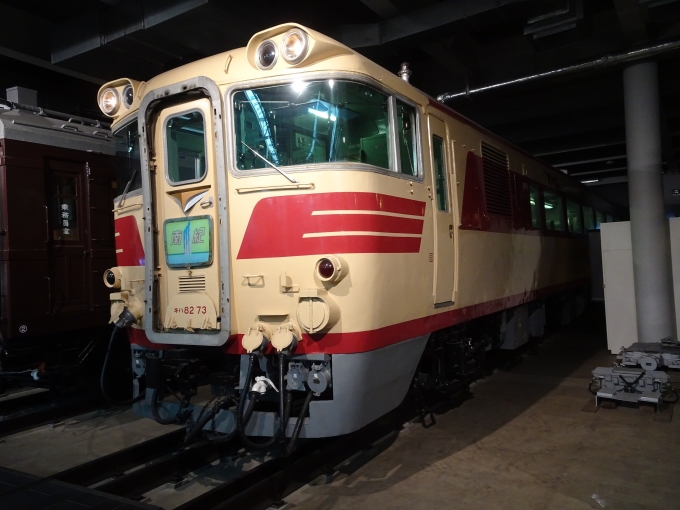 鉄道乗車記録の写真:列車・車両の様子(未乗車)(16)        「キハ82です。」