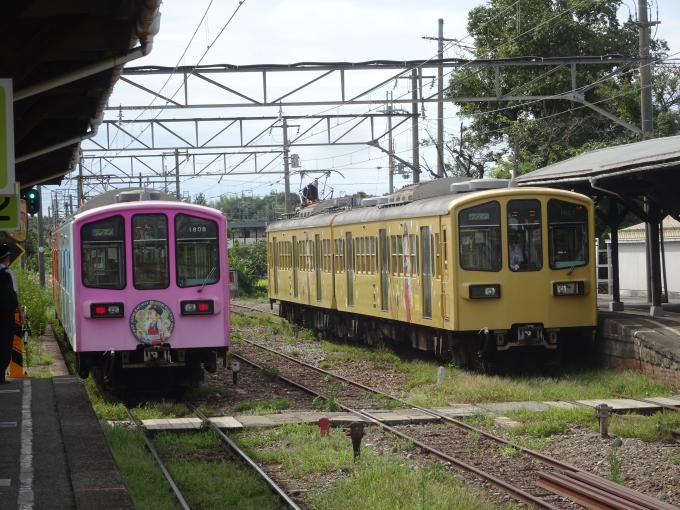 鉄道乗車記録の写真:乗車した列車(外観)(13)        「鉄道むすめ編成の並びです。」