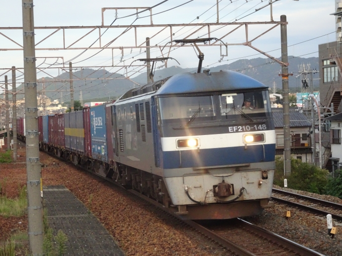 鉄道乗車記録の写真:列車・車両の様子(未乗車)(1)          「電車待ちの間に撮った、JR貨物のEF210です。」