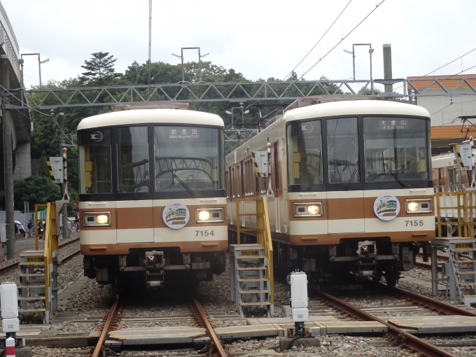 鉄道乗車記録の写真:列車・車両の様子(未乗車)(10)        「見えにくいかもですが、｢新長田｣(左)と｢大倉山｣(右)という北神急行車ではあり得ない行き先表示です。」