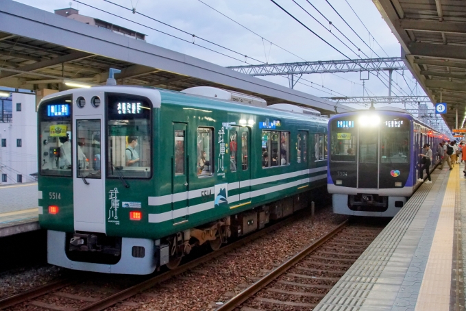 鉄道乗車記録の写真:列車・車両の様子(未乗車)(9)        「本線仕様と武庫川線仕様の5500系の並びです。」