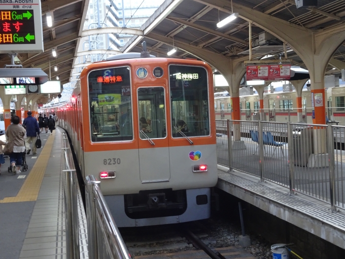 鉄道乗車記録の写真:列車・車両の様子(未乗車)(3)        「阪神電車の直通特急です。」