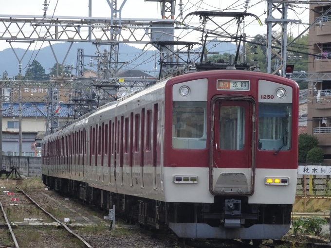 鉄道乗車記録の写真:列車・車両の様子(未乗車)(2)        「京都発の急行が着いてすぐに引き上げ線に入りました。」