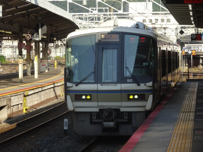 鉄道乗車記録の写真:乗車した列車(外観)(1)        「せっかくなので、複線化されたJR奈良線に乗って帰ろうと思います。」