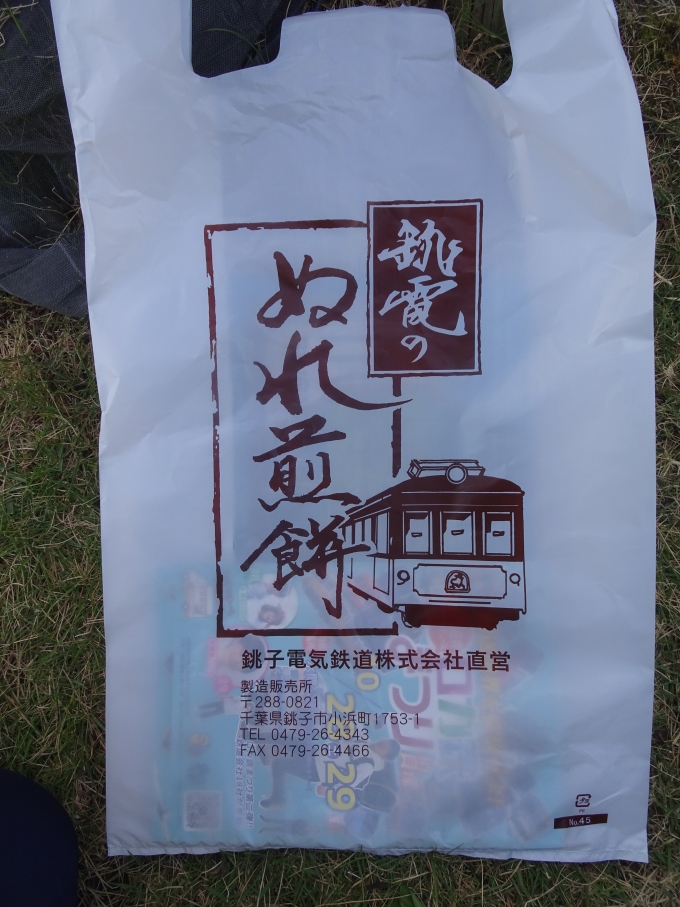 鉄道乗車記録の写真:鉄道グッズ(11)        「銚子電鉄のぬれ煎餅のレジ袋です。銚子電鉄と寒霞渓ロープウェイのクリアファイルを買って終わりにしました。」