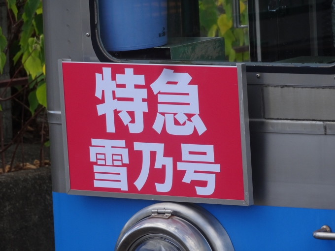 鉄道乗車記録の写真:ヘッドマーク(7)        「｢斉藤 雪乃｣さんの貸切列車の副標です。」