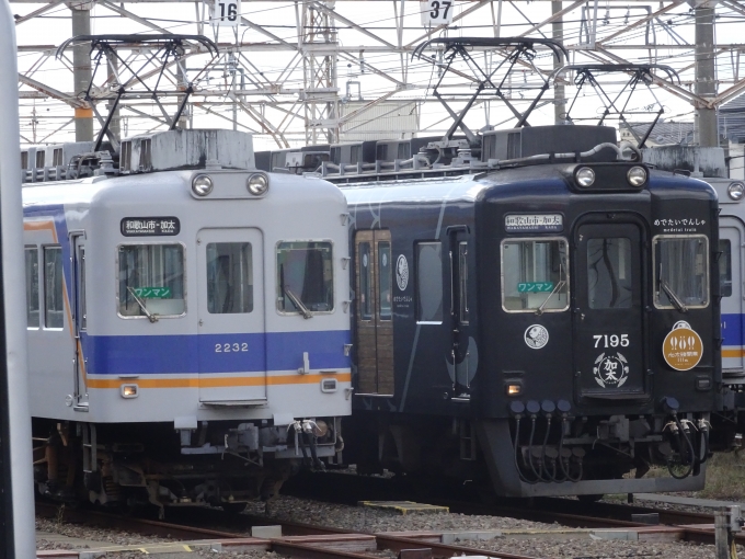 鉄道乗車記録の写真:列車・車両の様子(未乗車)(3)        「｢めでたい電車｣の｢かしら｣と2230系の並びです。2230系は加太線の運用がなくなったので、多奈川線の専用になっていると思います。(多分)」