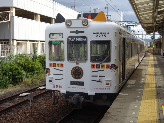 鉄道乗車記録の写真:乗車した列車(外観)(3)        「乗車した｢たま電車｣です。」
