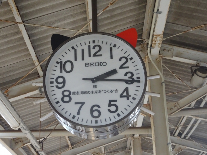 鉄道乗車記録の写真:旅の思い出(4)        「和歌山駅の9番ホームの時計が、｢たま｣のデザインになっています。」
