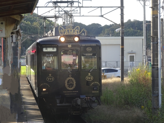 鉄道乗車記録の写真:乗車した列車(外観)(2)        「乗車する、｢たまミュージアム電車｣です。」