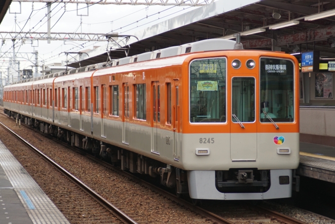 鉄道乗車記録の写真:列車・車両の様子(未乗車)(3)        「阪神車の直通特急です。」